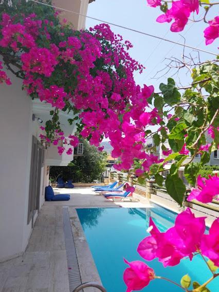 Selenya Apart Marmaris Zewnętrze zdjęcie